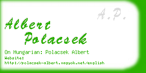albert polacsek business card